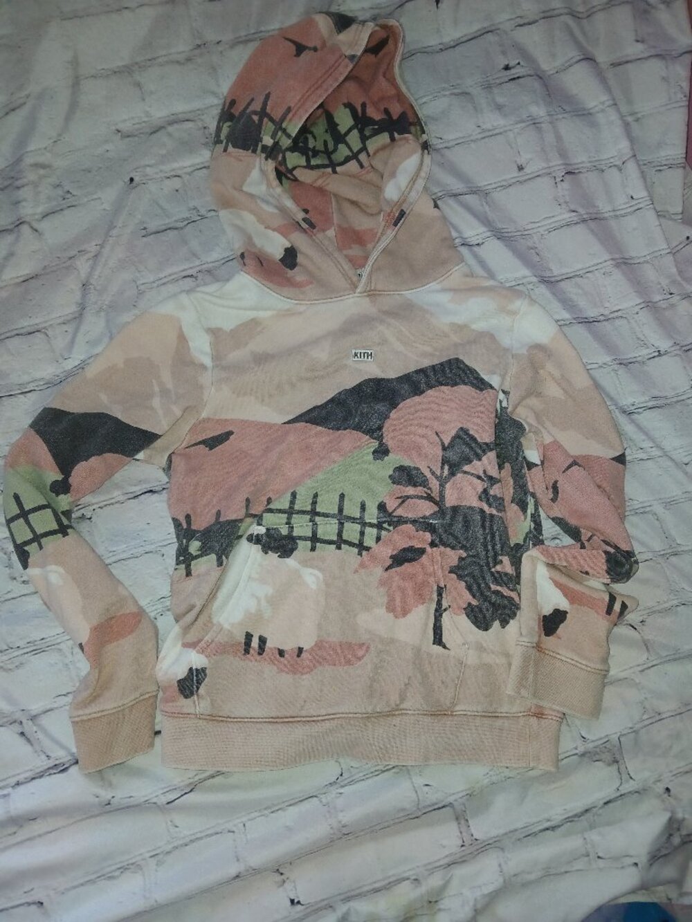 Kith hoodie